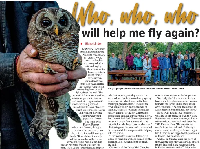  ?? Photos: Blake Linder ?? The owl is shown to the attendees of its release before being put down to fly off.
The group of people who witnessed the release of the owl.