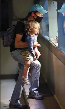  ?? PHOTOS BY ALEX HORVATH / THE CALIFORNIA­N ?? Emily Russell provides a lift to her 2-year-old son, George, to see the Pacific gopher snake in the reptile house at the California Living Museum on Thursday afternoon.