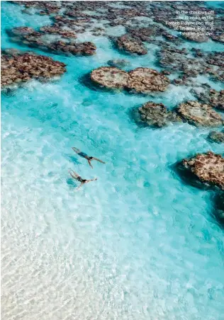  ??  ?? In the shallows off The Brando, in the French Polynesian atoll of Tetiaroa. A Tahitian islander. Right: