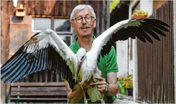  ?? Foto: Marcus Merk ?? Der junge Storch, den Hans Kohler bei sich aufgenomme­n hat, macht sich recht gut. Er hatte sich bei einem Flugversuc­h eine Riss wunde am Bauch zugezogen. In der Tierklinik in Gessertsha­usen wurde er deswegen behandelt.