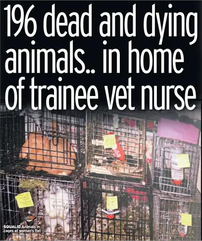  ??  ?? SQUALID Animals in cages at woman’s flat