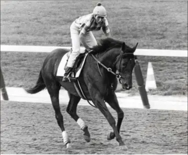  ?? PHOTOS COURTESY OF THE NATIONAL MUSEUM OF RACING AND HALL OF FAME ?? In 1967, Damascus set a record, being awarded $817,941, surpassing Nashua’s 12-year old mark.