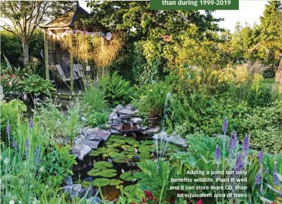  ?? ?? Adding a pond not only benefits wildlife. Plant it well and it can store more CO2 than an equivalent area of trees