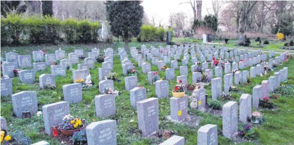  ?? FOTO: ANJA PRÖLLER ?? Das Grabfeld der Universitä­t auf dem Hauptfried­hof in Ulm: Hier werden die Urnen der Körperspen­der beigesetzt.