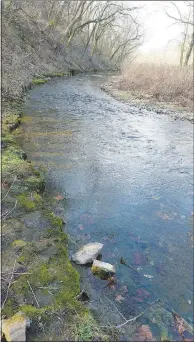  ?? Flip Puttoff/NWA Democrat-Gazette ?? Flint Creek makes a scenic bend through Flint Creek Headwaters Preserve.