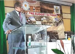  ?? ?? Finance and Economic Developmen­t Minister Mthuli Ncube addresses guests during the pre-budget seminar