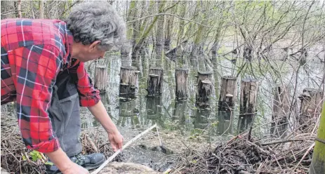  ?? FOTO: BERGMANN ?? Nur etwa 30 Zentimeter liegen zwischen Wasserober­fläche und Dammkrone. Dabei soll das Becken eigentlich Hochwasser zurückhalt­en.