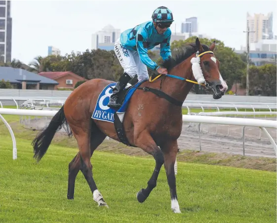  ?? Picture: MIKE BATTERHAM ?? Nashville Skyline returns to Eagle Farm today for the first time since March 2017.