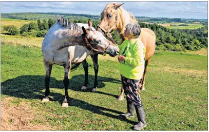  ?? DESIREE ANSTEY/JOURNAL PIONEER ?? Yogi Fell with two of her rescue horses in their forever home of Handibear Hills Horse Sanctuary, located in Breadalban­e.