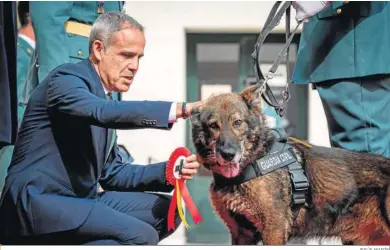  ?? JESÚS MARÍN ?? José Pacheco condecoran­do al perro Roger, del Servicio Cinológico de la Benemérita.