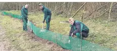  ?? FOTO: KREIS METTMANN ?? Die FÖJler bereiten schon einmal die Absperrzäu­ne für die kommende Krötenwand­erung vor.