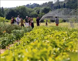  ?? (Photos H.D.S.) ?? Après que la crise du Covid a mis en lumière certaines vulnérabil­ités alimentair­es, le projet de « Potagers & compagnie », qui mûrissait déjà bien avant, répond à une problémati­que très actuelle.