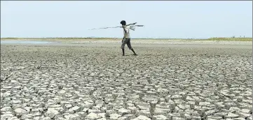  ?? AFP ?? A man walks on the parched bed of a reservoir on the outskirts of Chennai. In January, all 32 districts in TN were declared droughthit.