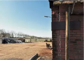  ?? — AFP ?? Major setback: One of the many cracks in a farm building in Middelstum, some 10km from Groningen, caused by repeated earthquake­s due to natural gas extraction.