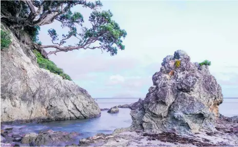  ?? PHOTOS / SHAUN BARNETT ?? Late evening, Smugglers Bay, Hen Island beyond.left, Stella Pegram, Lexi Stantonbar­nett and Will Pegram beneath a pohutukawa, Peach Cove.