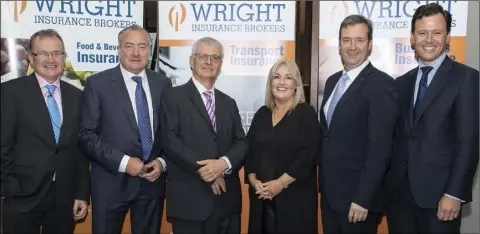  ??  ?? At the annual Wright Insurance Brokers transport and logistics seminar in Clayton Whites Hotel were economist Jim Power, Tony Wright, CEO Wright Insurance Brokers; British Ambassador Robin Barnett, Verona Murphy, President, Irish Road Haulage Associatio­n; Minister Michael D’Arcy and Anton Savage, MC for the event.