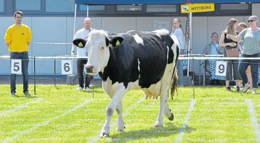  ?? Fotos: Jens Dünhölter ??