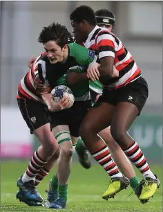  ??  ?? Neill Murphy of Scoil Chonglais Baltinglas­s is tackled by Ore Lasisi of St Mary’s CBS Enniscorth­y during the Bank of Ireland Leinster Schools Fr. Godfrey Cup second round match at Donnybrook Stadium. Scoil Chonglais won and faced Wesley College in the...