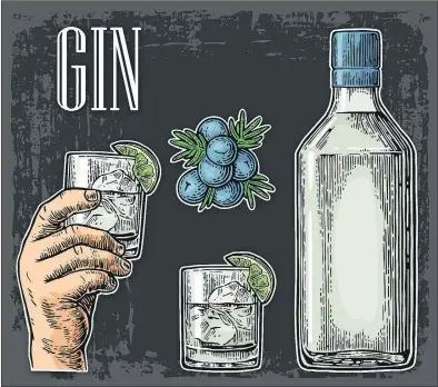  ?? DEPOSITPHO­TOS IMAGE ?? A gin and tonic is shown with juniper.