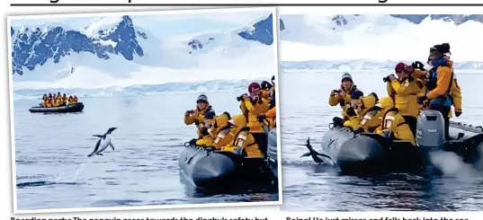  ??  ?? Boarding party: The penguin races towards the dinghy’s safety but...
Boing! He just misses and falls back into the sea