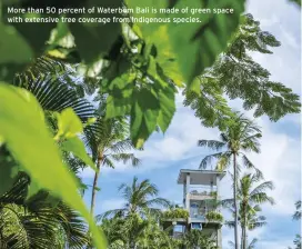  ??  ?? More than 50 percent of Waterbom Bali is made of green space with extensive tree coverage from indigenous species.