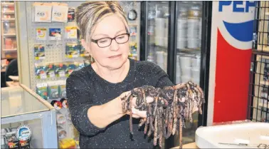  ?? DAVE STEWART/THE GUARDIAN ?? Helen Boshuis, co-owner of the Going Fishing store in Charlottet­own, says part of getting geared up for the start of the fishing season on Sunday is making sure there are enough worms. The store recently got in a shipment of 24,000 worms.