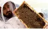  ??  ?? HATTA HONEY: It can breed 100,000 queen bees a year