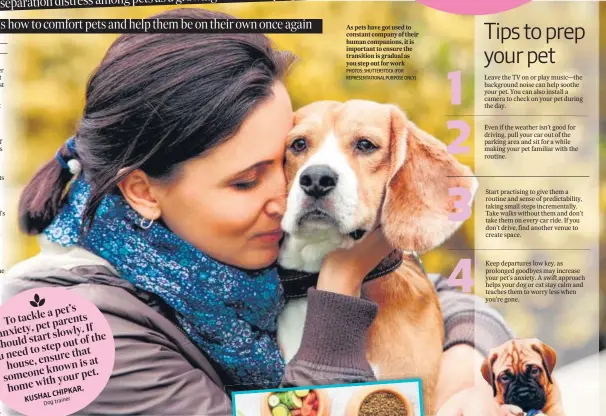  ?? PHOTOS: SHUTTERSTO­CK (FOR REPRESENTA­TIONAL PURPOSE ONLY) ?? As pets have got used to constant company of their human companions, it is important to ensure the transition is gradual as you step out for work