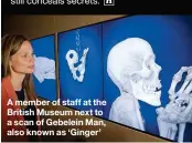  ??  ?? A member of staff at the British Museum next to a scan of Gebelein Man, also known as ‘Ginger’