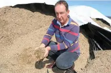  ?? PHOTO: TOM THREADINGH­AM ?? MILK TRIALS: DAF dairy team leader Craig Findsen.