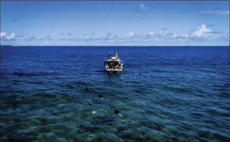  ?? JIM HELLEMN VIA AP ?? A group of divers swim in a reef off the northeast coastal town of Fajardo, a popular destinatio­n for tourists eager to explore reefs that once boasted bright colors and a multitude of fish. The group is participat­ing in a nearly $1.5 million project largely funded by the U.S. government to help restore between 100 and 300 corals a day in Puerto Rico for two months.