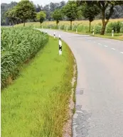  ??  ?? Kein Vergnügen an der Straße war dieser Wanderabsc­hnitt zwischen Gennach und Westerring­en.