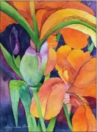  ?? ?? Orange Iris, by Mary Monroe