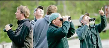  ?? STAN HONDA/AFP ?? A team from the Cornell University Lab of Ornitholog­y looks for birds during the World Series of Birding in May 2007 in New Jersey.