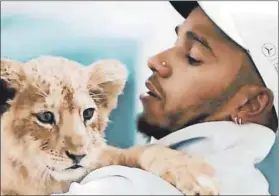  ??  ?? Animal lover: Lewis Hamilton previously drew ire on social media when he posted a picture of himself cuddling a lion cub. Photo: Lewis Hamilton