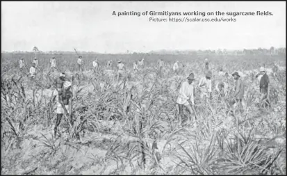  ?? Picture: https://scalar.usc.edu/works ?? A painting of Girmitiyan­s working on the sugarcane fields.