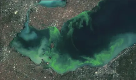  ?? THE ASSOCIATED PRESS ?? This satellite image provided by NOAA shows the algae bloom on Lake Erie in 2011 which according to NOAA was the worst in decades.