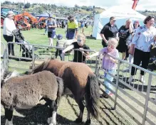  ??  ?? Children (and their parents) will love meeting the animals at the North Otago A&P Show.