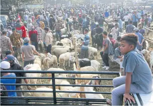  ?? REUTERS ?? A general view of a cattle market, ahead of the Muslim festival of sacrifice Eid al-Adha in Bogor, on the outskirts of Jakarta, Indonesia, yesterday.