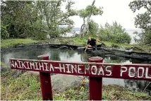  ?? CHRISTEL YARDLEY/ STUFF ?? Rawiri Bhana: ‘‘We are actually losing the island – it is going underwater.’’