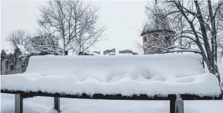  ?? FOTO: JUTTA HENSLER ?? Mehr als eine Handbreit Schnee fiel in der Nacht zum Sonntag – Jutta Hensler hat dieses Motiv auf dem Honberg gefunden.