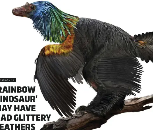  ??  ?? ABOVE: The shimmering, multicolou­red feathers on the rainbow dinosaur may have been used to attract a mate