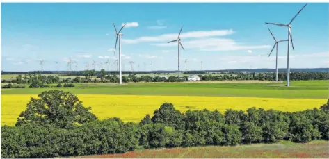  ?? SYMBOLFOTO: PLEUL/DPA ?? Der Nabu Saar will sich dafür einsetzen, dass Schutzgebi­ete bestehen bleiben – verstärkte­m Windkraft-Ausbau zum Trotz.