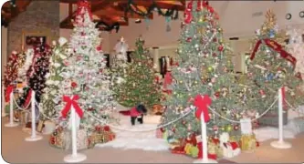  ??  ?? A forest of decorated trees is on display at the Bucks County Visitor Center in Bensalem in the main gallery through Jan. 9. The Bucks County Holiday Treefest is free and open to the public. Many local businesses have pitched in with uniquely themed....