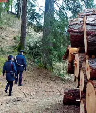  ??  ?? Sopralluog­oI carabinier­i del Primiero durante uno dei sopralluog­hi effettuati nel bosco dove è stato trovato il corpo del giovane