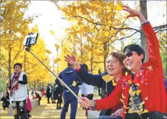  ?? CAO JIANXIONG / FOR CHINA DAILY ?? Two visitors take a selfie at a botanical garden in Qinhuangda­o, Hebei province, on Sunday. As autumn progresses and temperatur­es fall, the ginkgo tree leaves turn gold and draw visitors.