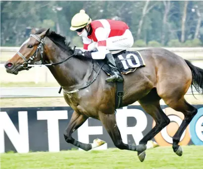  ?? Picture: JC Photograph­ics ?? VALUE. Lucy In The Sky runs well for Warren Kennedy and looks a decent each-way bet in Race 8 at the Vaal tomorrow.