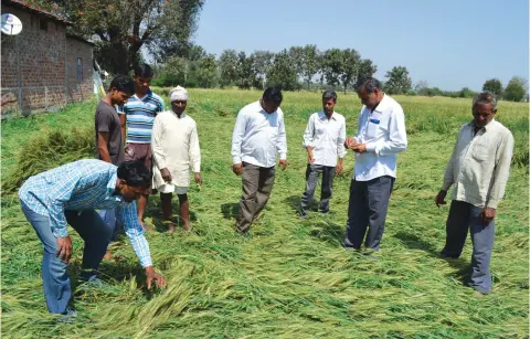  ??  ?? A study by India Meteorolog­ical Department shows that of all states in the country, Maharashtr­a is most prone to hailstorms