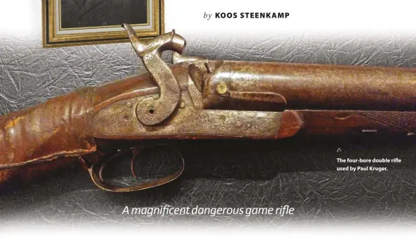  ??  ?? The four-bore double rifle used by Paul Kruger.