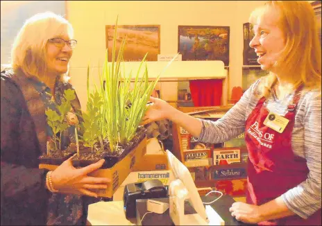  ?? SUE ELLEN ROSS/POST-TRIBUNE ?? Friends of Indiana Dunes members check out customers during a recent plant sale.